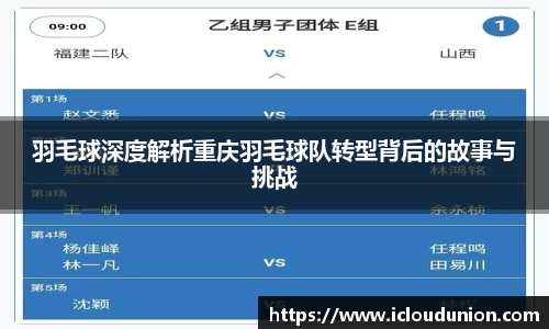 羽毛球深度解析重庆羽毛球队转型背后的故事与挑战