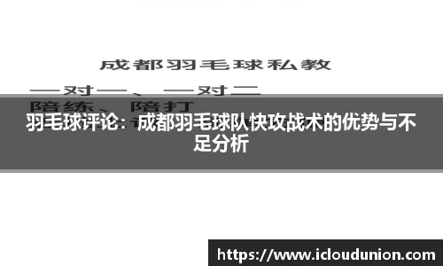 羽毛球评论：成都羽毛球队快攻战术的优势与不足分析